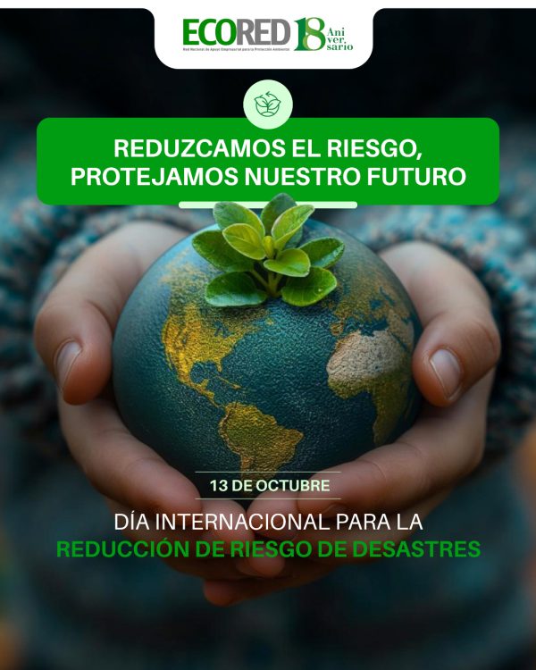 La Red INTEGRARSE resalta la importancia de empoderar a la próxima ...