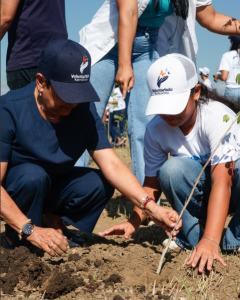 Mes de la Reforestación: voluntarios impulsan jornadas verdes en todo el país