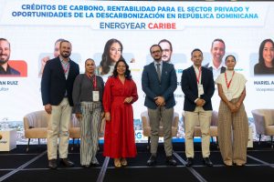 Socios de ECORED participan en Energyear Caribe 2025