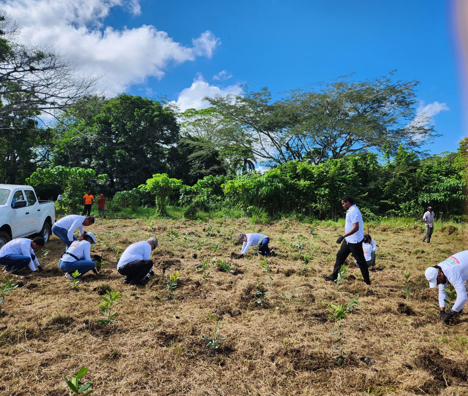 ECORED y APAP realizan jornada de plantación en el Parque Nacional Humedales del Ozama como parte de Misión Rescate Lista Roja